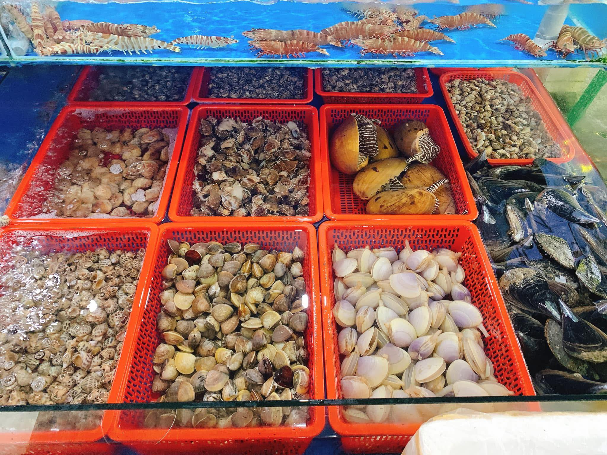 597009854 909077801635364 7852414756240094597 n